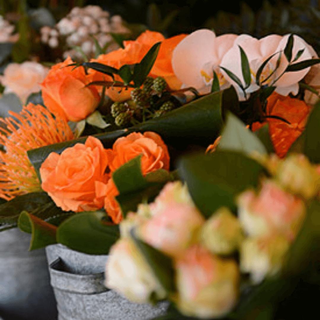 monaco-carlo-app-commercant-mary-jane-fleurs-florist