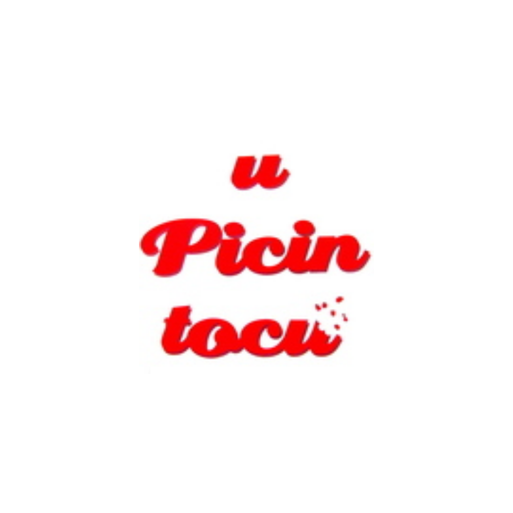 Read more about the article u Picin Tocu