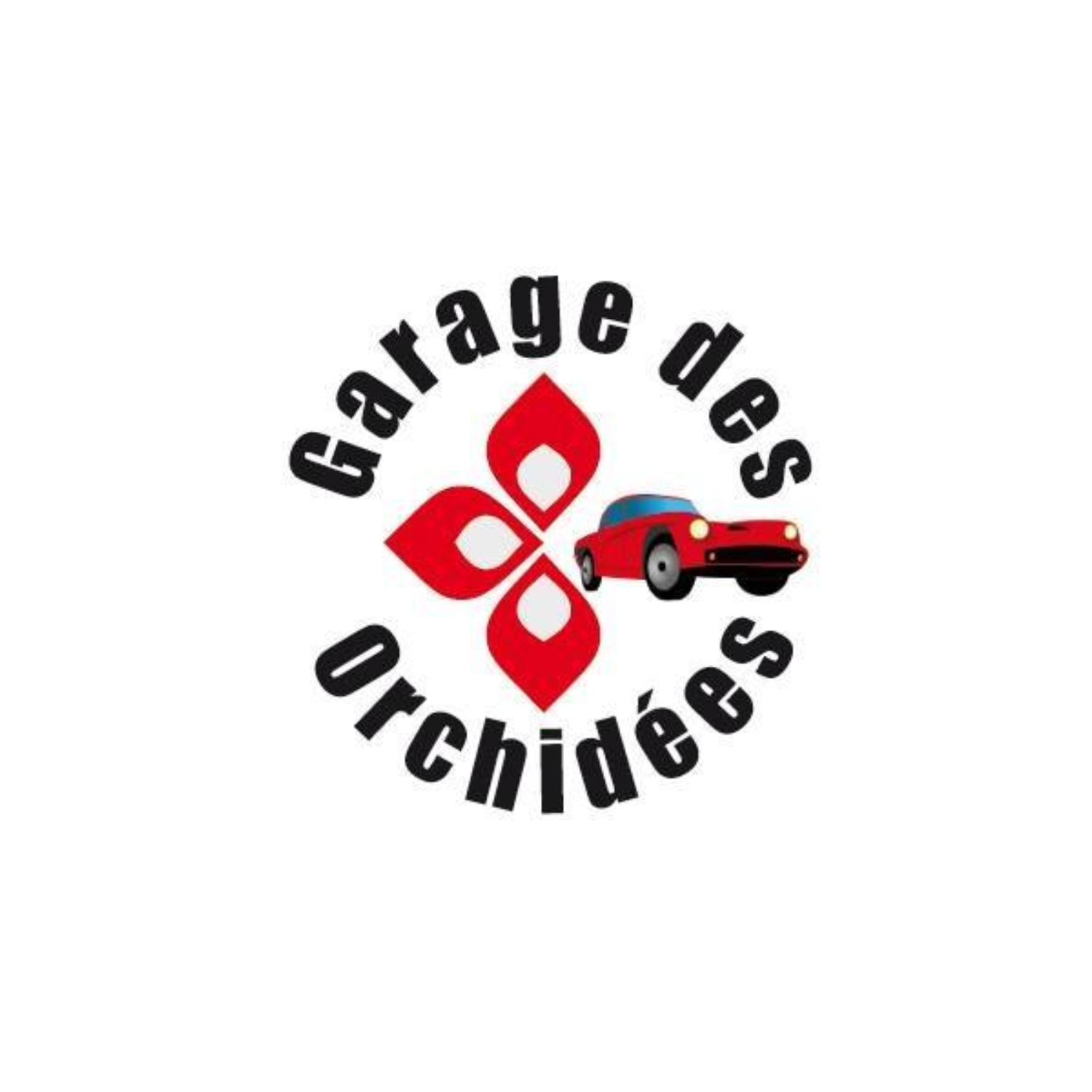 Read more about the article Garage des Orchidées