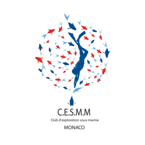 Read more about the article CESMM