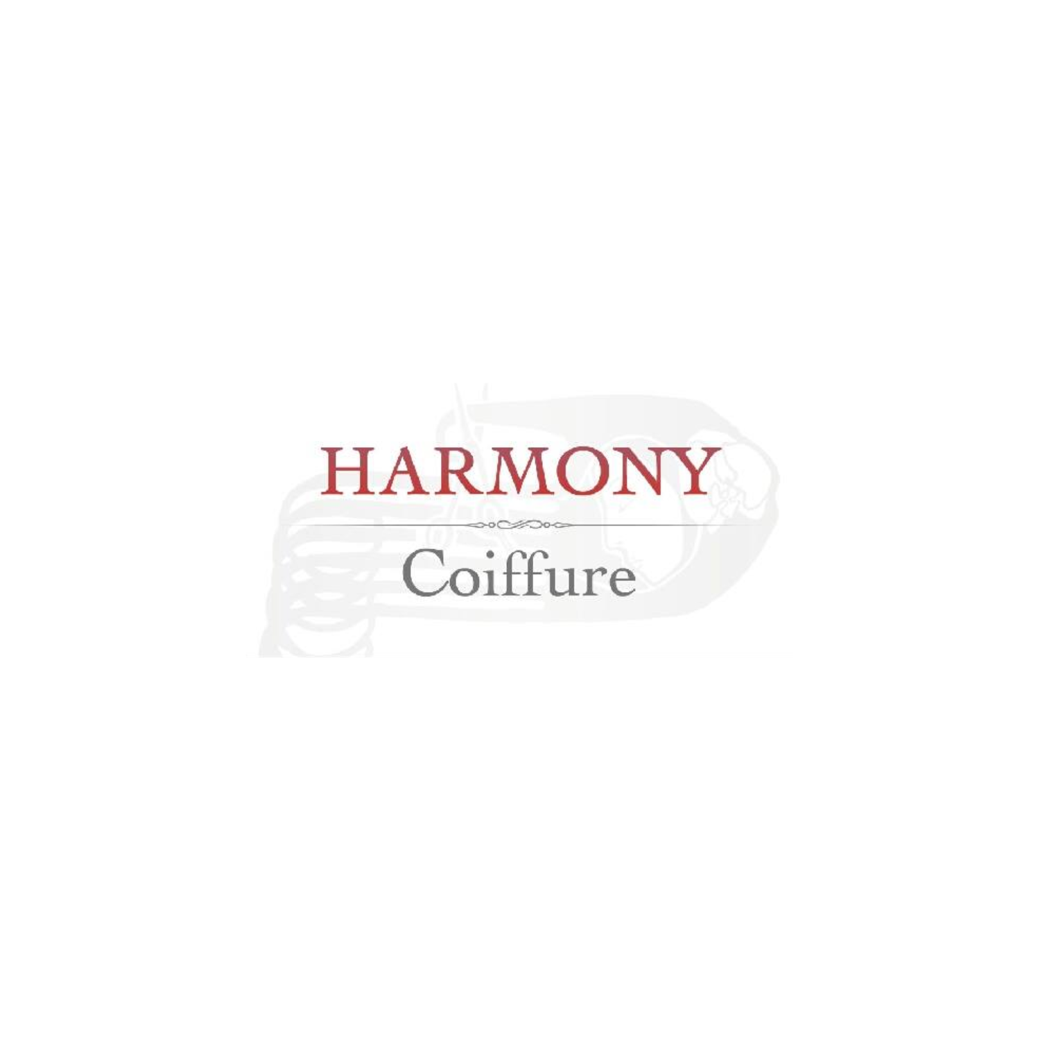Read more about the article Harmony Coiffure