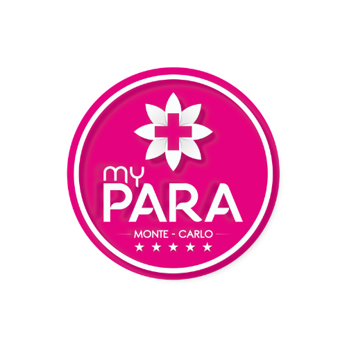 Read more about the article MyPARA