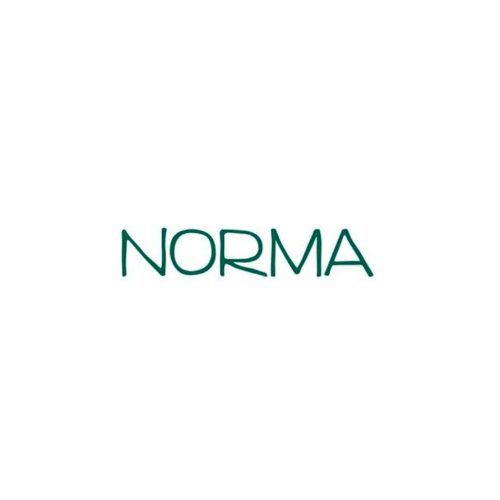 Read more about the article Norma