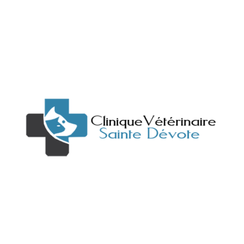 Read more about the article Clinique Vétérinaire St Devote