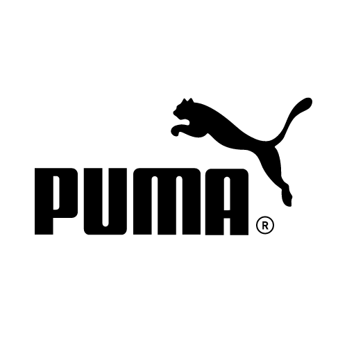 Read more about the article Puma